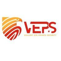 vigilant eye security inc. logo image