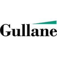 gullane capital llc logo image