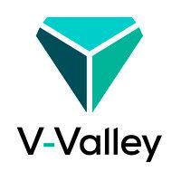 v-valley portugal - enhancing your business logo image