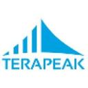 logo of Terapeak Acquired By Ebay Inc