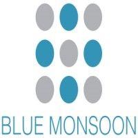 blue monsoon capital logo image