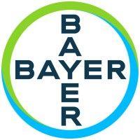 bayer norge logo image