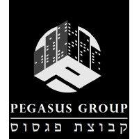 pegasus group logo image