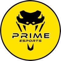 prime esports inc. logo image