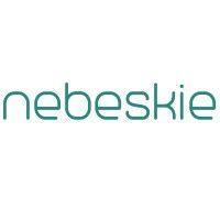 nebeskie logo image