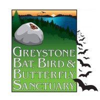 greystone nature preserve logo image