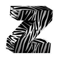 zebra logo image