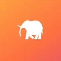 wonderful elephant logo image