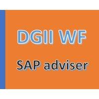 waldemar falinski sap project management and advisory services logo image