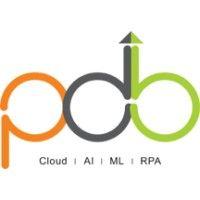 pdb technologies and solutions pvt ltd logo image