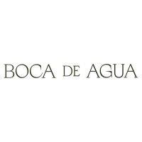 boca de agua logo image