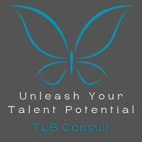 tlb consult ltd logo image