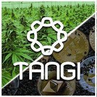 tangi logo image