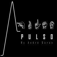 pulso logo image