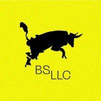 bs llc | branding, strategy, & marketing agency logo image