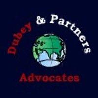 dubey & partners logo image