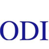 odi financial logo image