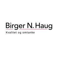 birger n. haug as logo image