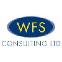 wfs consulting limited logo image