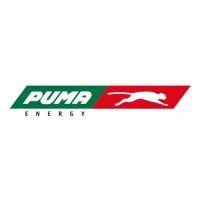 puma energy botswana pty. ltd. logo image