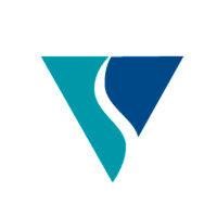 viseon inc. logo image