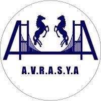 avrasya groups logo image