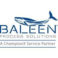 baleen process solutions