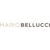 lanificio mario bellucci spa logo image