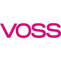 voss automotive, inc., usa logo image