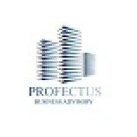 profectus business advisory pty limited logo image