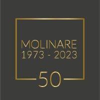 molinare logo image