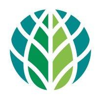 world bioenergy association logo image