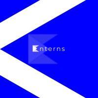 enterns.com logo image