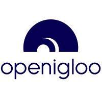 openigloo logo image