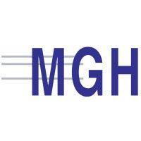 mgh logistics india pvt. ltd. logo image