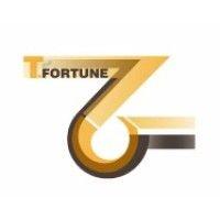 top fortune enterprises logo image