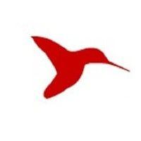 hummingbird scientific logo image