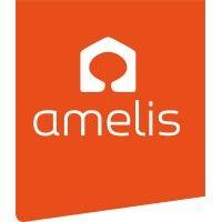 amelis logo image