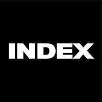 index investigation logo image