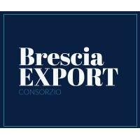 brescia export - consorzio per l'internazionalizzazione logo image