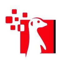 meerkat technologies logo image