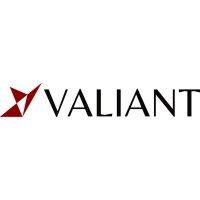 valiant capital management logo image