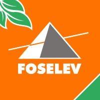 groupe foselev logo image