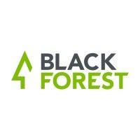 black forest ventures logo image