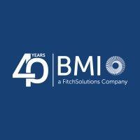 bmi country risk & industry analysis