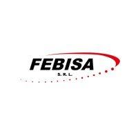 febisa srl logo image