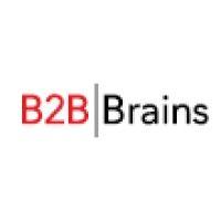 b2b brains logo image