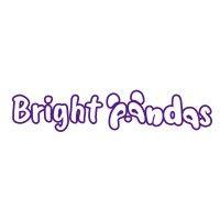 bright pandas ltd logo image