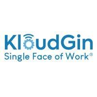 kloudgin logo image