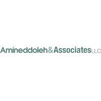 amineddoleh & associates llc